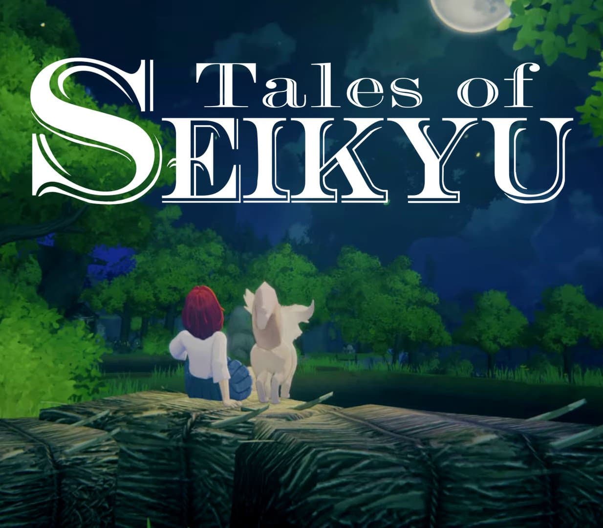 Tales of Seikyu cover art