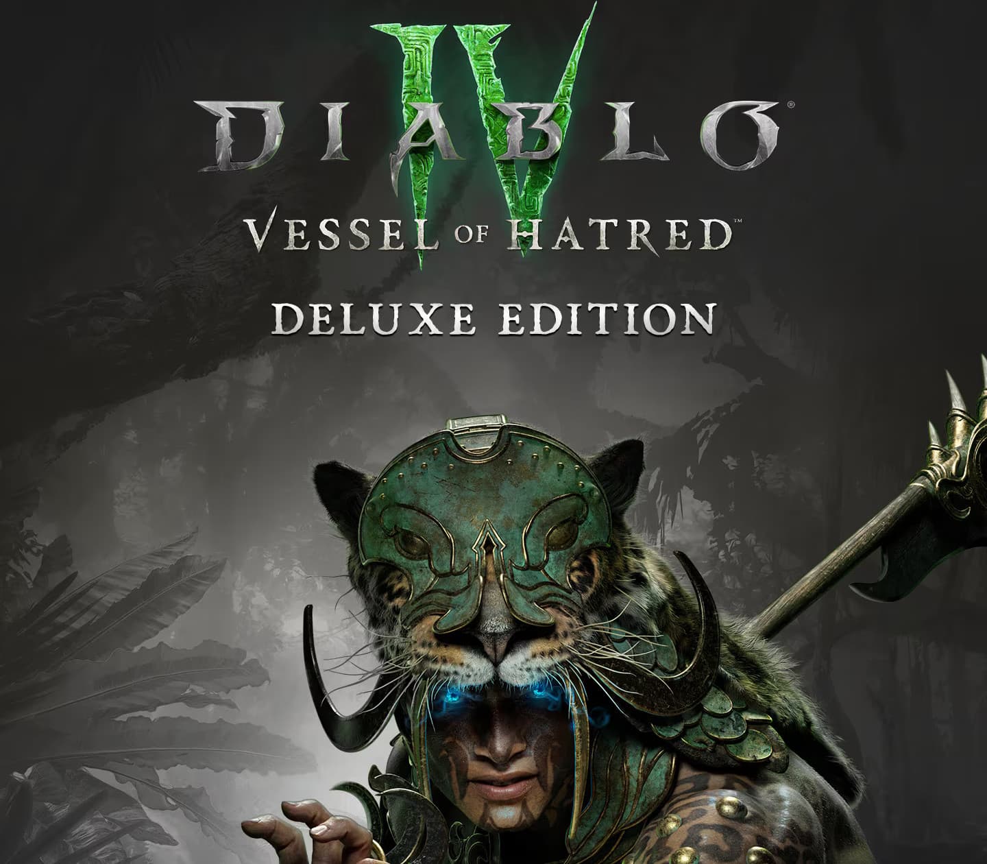 Diablo IV: Vessel of Hatred cover art