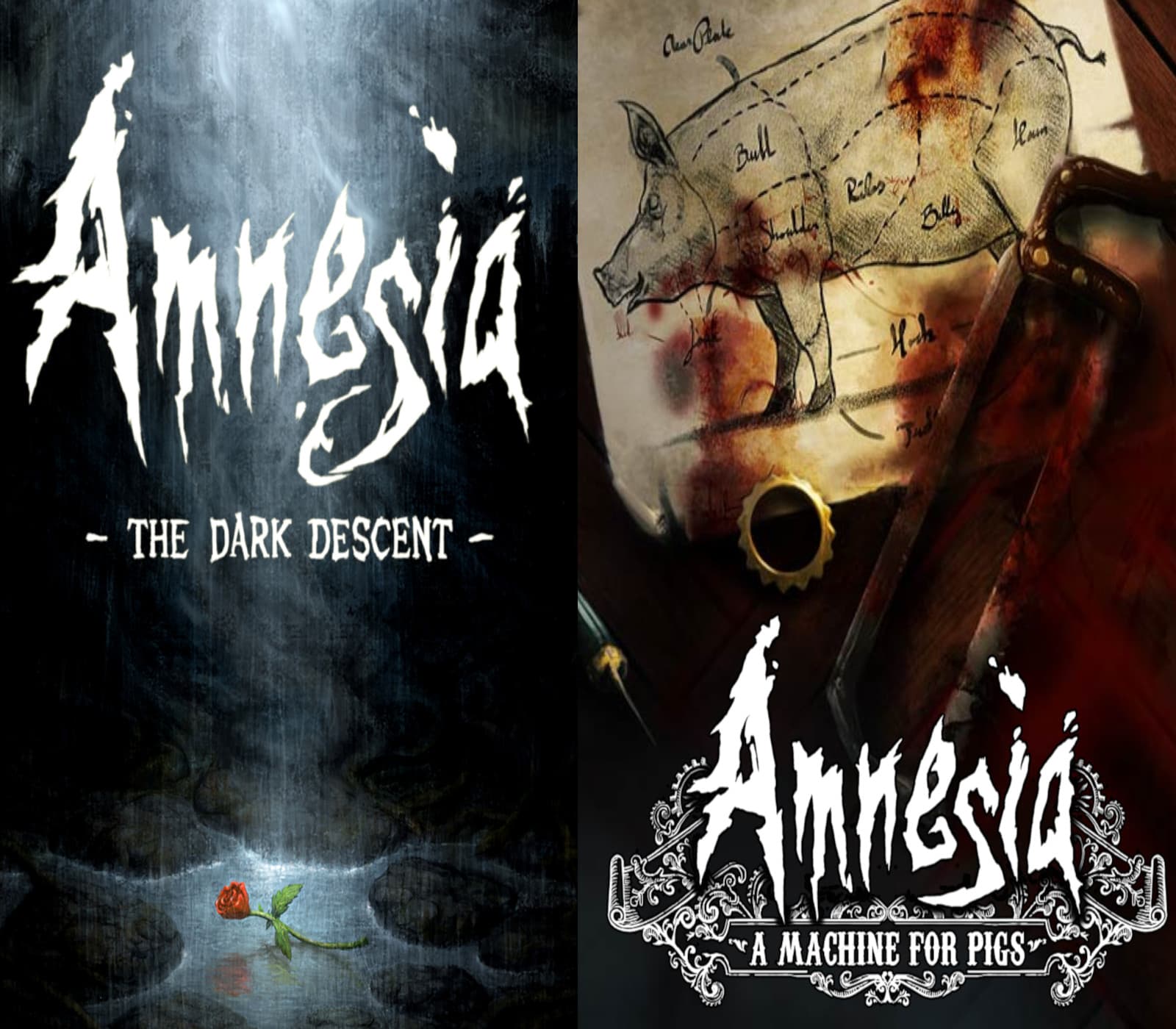 Amnesia cover art