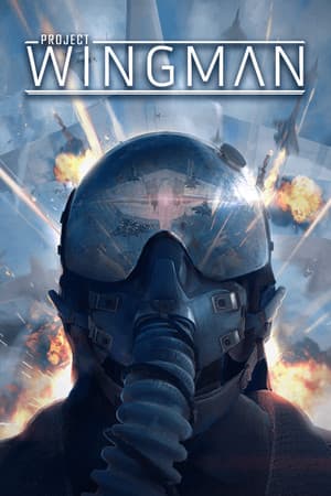 Project Wingman cover art