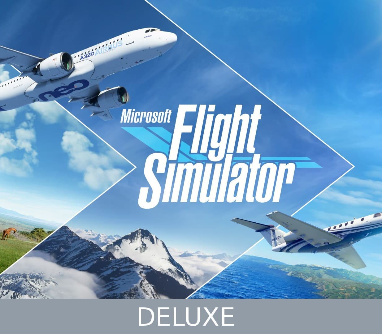 Microsoft Flight Simulator cover art