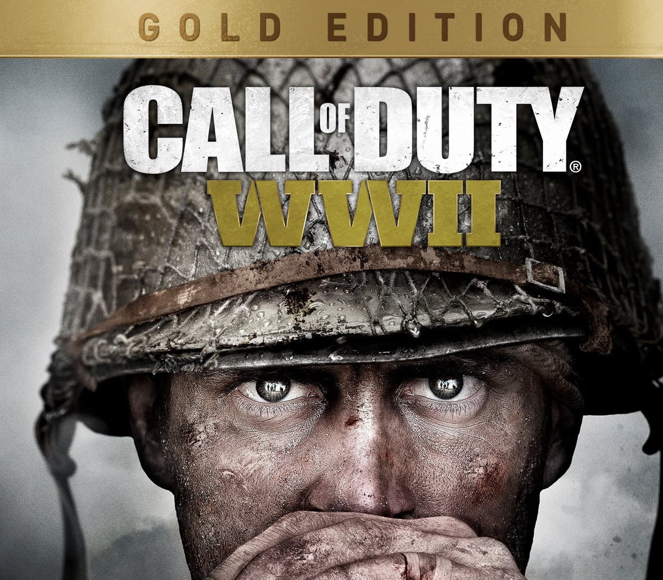 Call of Duty: WWII cover art