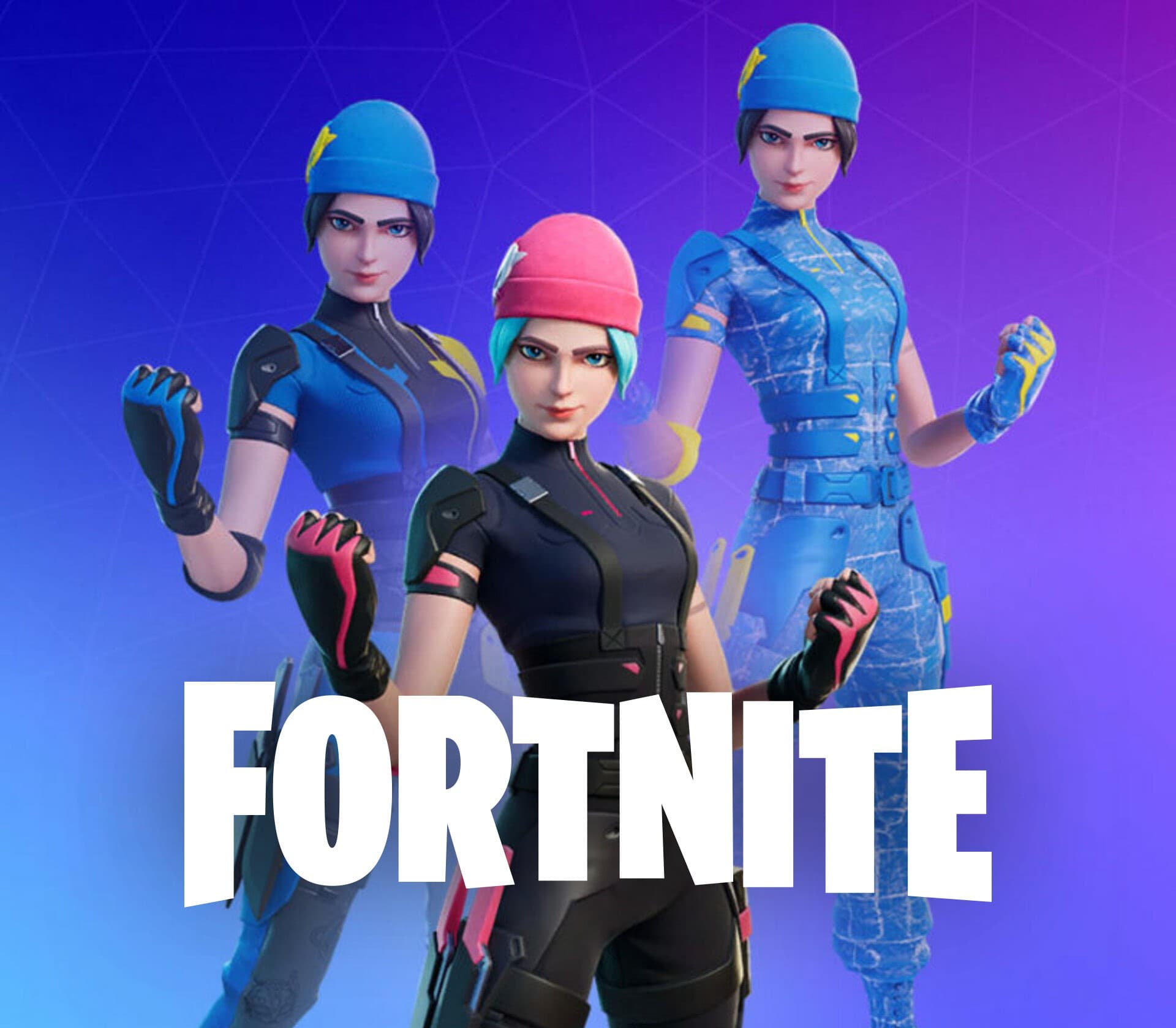 Fortnite - Wildcat Bundle cover art